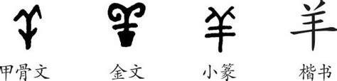 汉字羊字的演变过程图片，急需呀？