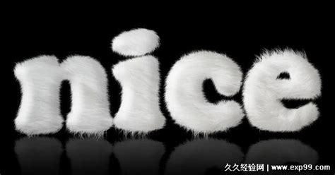 nice是什么中文意思，漂亮的意思(现在经常被用来做成表情包) — 久久经验网