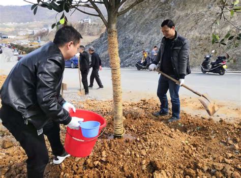 岚皋县人社局志愿者服务队开展义务植树活动-岚皋县人民政府