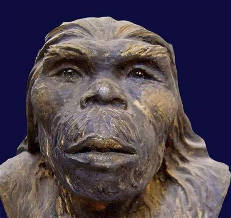 17万年前的原始人——云南元谋人_化石