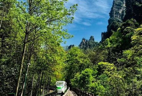 穷游湖南（衡山-凤凰古城-张家界（天门山、武陵源））-武陵源旅游攻略-游记-去哪儿攻略