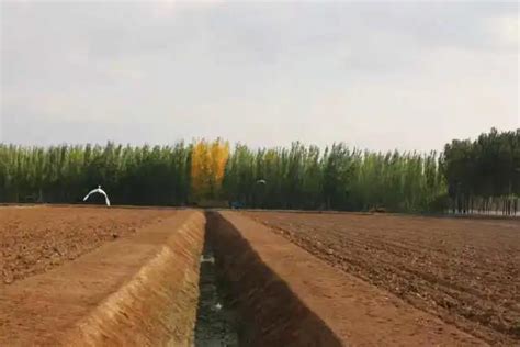沙坡头区全面推进农田水利基本建设