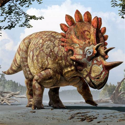 世界上真的有恐龙吗，有恐龙(生存在二亿四千五百万年前)— 爱才妹生活