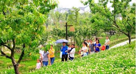 中国休闲农业乡村旅游发展模式分析 – 69农业规划设计.兆联顾问公司