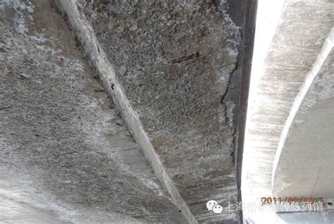 桥梁病害分析——混凝土冻融破坏-路桥施工-筑龙路桥市政论坛