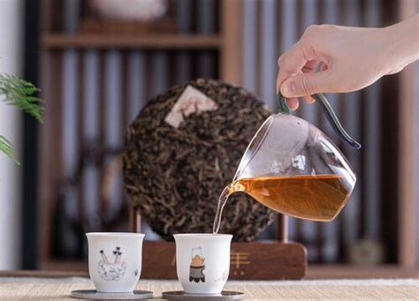 古树红茶和普通红茶的区别 鉴别方法-润元昌普洱茶网