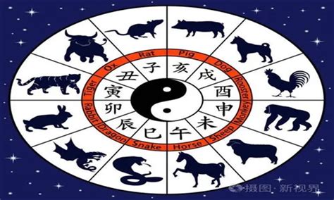 十二生肖排序表图图片 十二生肖排序表图图片