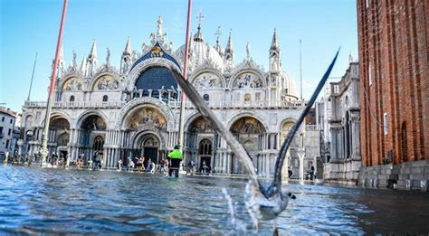 威尼斯最严重水灾 水灾造成当地多个景点关闭|威尼斯|严重-滚动读报-川北在线
