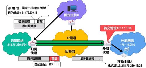 什么叫自带ip，请问自带ip是什么意思？ - 综合百科 - 绿润百科