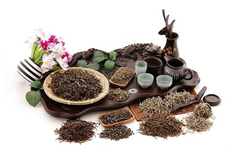 茶知识：四种名茶的鉴赏,四川纳溪特早茶有限公司,中国特早茶,早春二月,茶叶招商加盟