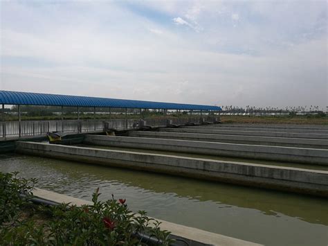 tjbdlzg摄影作品 水产养殖基地