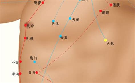 大包的准确位置图图片