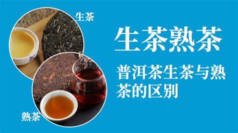 普洱茶分生茶和熟茶（普洱生茶和熟茶的区别）