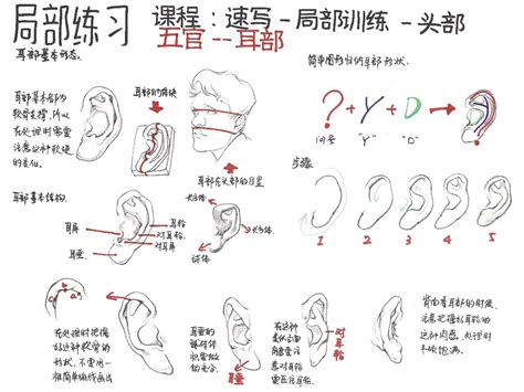 18个痛点的准确位置图图片