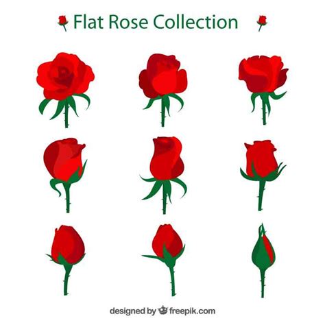 九种玫瑰花生长全过程的花图标素材