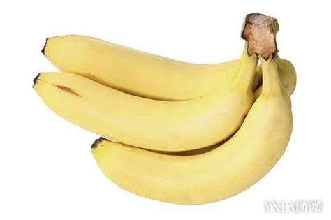 【图】专家为你解答香蕉热量高吗 香蕉可不可以帮助减肥呢(2)_香蕉热量高吗_伊秀美体网|yxlady.com