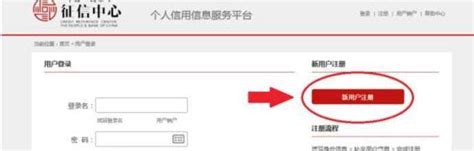 中国人民银行征信系统（企业和个人信用信息基础数据库）_摘编百科