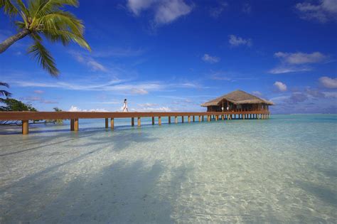 马尔代夫最新新闻23：瑰宝岛成为马尔代夫首家获得LEED金牌认证的度假酒店-七彩假期