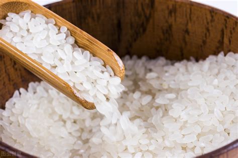 五味子麦冬西洋参泡水的功效与作用、禁忌和食用方法-中医百科