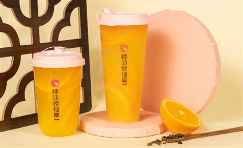 悸动奶茶有什么好喝的推荐(上海小囡喝了14年的“烧仙草专门店”)-五色推荐