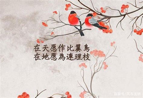 《中国奇谭》第六集《飞鸟和鱼》：愿我们都能成为别人生命中的光 - 知乎