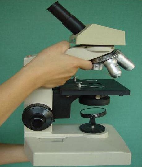 显微镜使用方法和技巧详解，让你的观察更加准确！-新乡市维克科教仪器有限公司