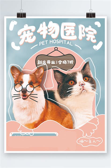 宠物医院宠物店开业宣传海报蓝色粉色可爱