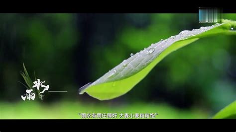 好雨知时节 第03集_高清1080P在线观看平台_腾讯视频