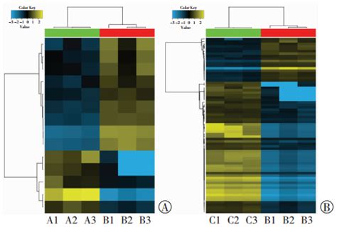 软骨细胞SHOX基因过/低表达的差异miRNA筛选与验证