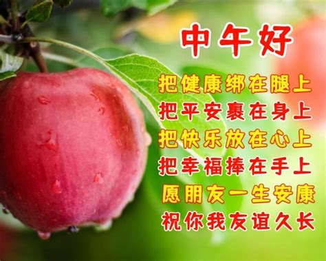 中午好的图片