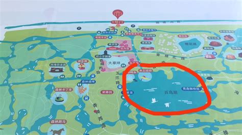 2023奉贤海湾旅游区游玩攻略,名称中也带“海”字，然则名...【去哪儿攻略】