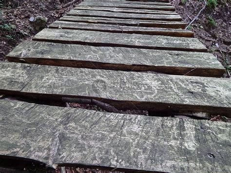 森林中的木桥高清图片下载-正版图片507404029-摄图网