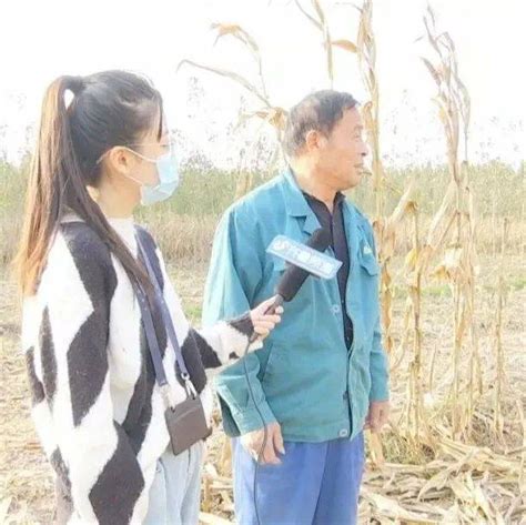 【济阳信息网】专家来支招：如何抢收玉米、抢种小麦？_农户