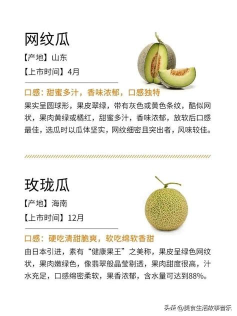 一生必吃一次的巴楚留香瓜行为艺术展来上海了！只 show 两天！