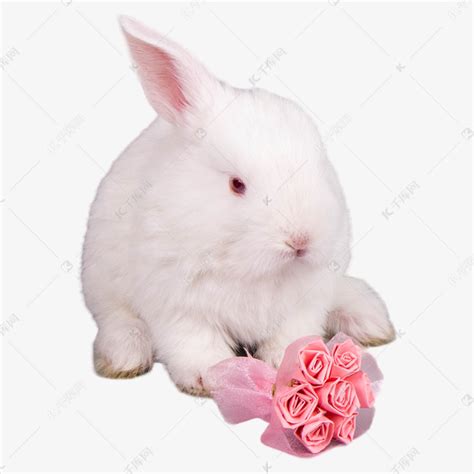 粉色鲜花小白兔素材图片免费下载-千库网