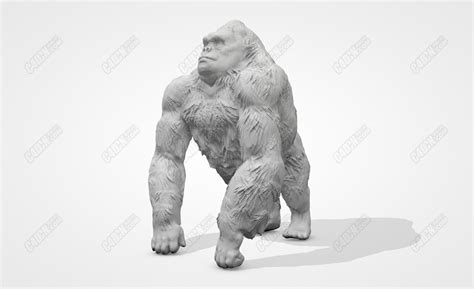 C4D大猩猩雕塑模型 Gorilla sculpture model_C4D模型_菜鸟C4D-与你一起C4D从零开始！