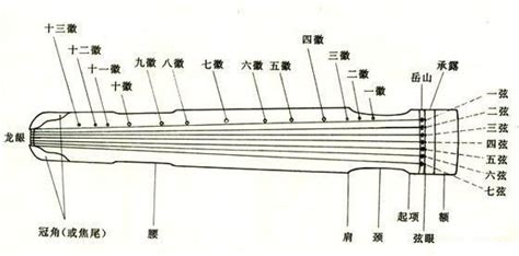 中国古琴样式及分类简介-古琴资讯 - 乐器学习网