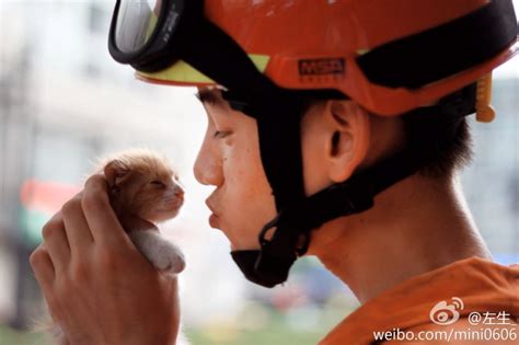 消防员爬树救猫照暖人心_频道_凤凰网