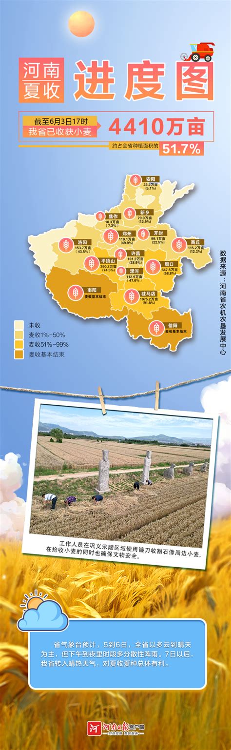 地图海报丨河南夏收进度图 全省麦收面积过半（截至6月3日）-大河新闻