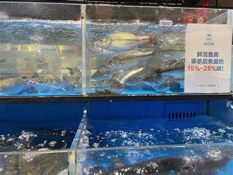 生鲜超市鱼缸商用卖鱼水产店贝类池小型定制移动海鲜池制冷机一体_虎窝淘