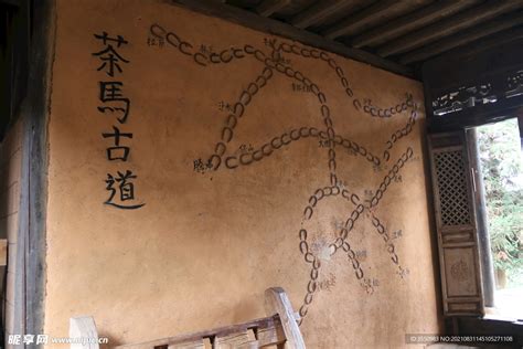 handle process 的图像结果
