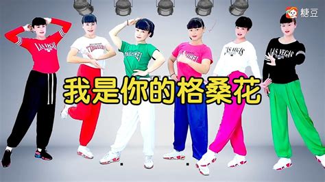 惠州梅子广场舞《我是你的格桑花》入门民族舞教程_腾讯视频
