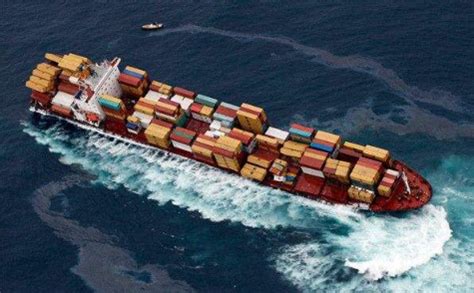 进口海运代理有什么优势 - 上海代理清关 - 上海天鸣国际货物运输代理有限公司