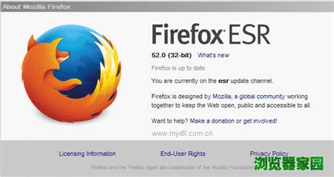 火狐浏览器xp系统下载能不能用_浏览器家园