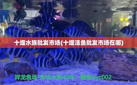 相民看零售：如果这是北京超市不卖活鱼的“前因”，那“后果”由谁承担？_联商专栏
