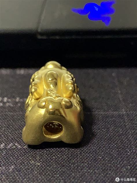吞金兽图片