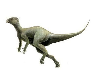 地球史上体型最大的五种恐龙排行！_龙的
