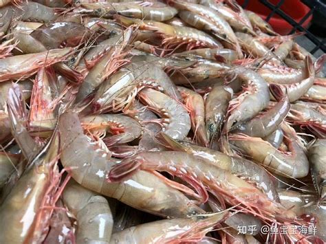 上海网上买海鲜攻略|助你买到好海鲜一定要收下 - 知乎