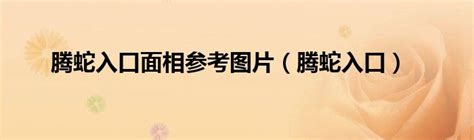 腾蛇入口面相图片