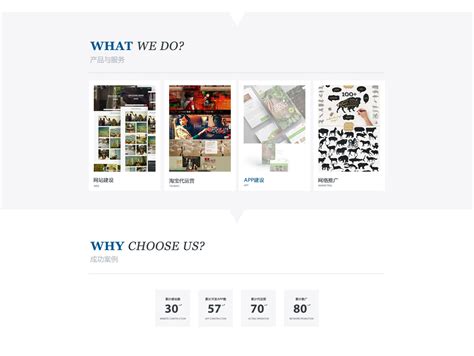 2014助听器网站首页设计（四个版本）_HR不爱吃胡萝卜-站酷ZCOOL